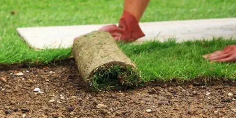 herbe naturelle