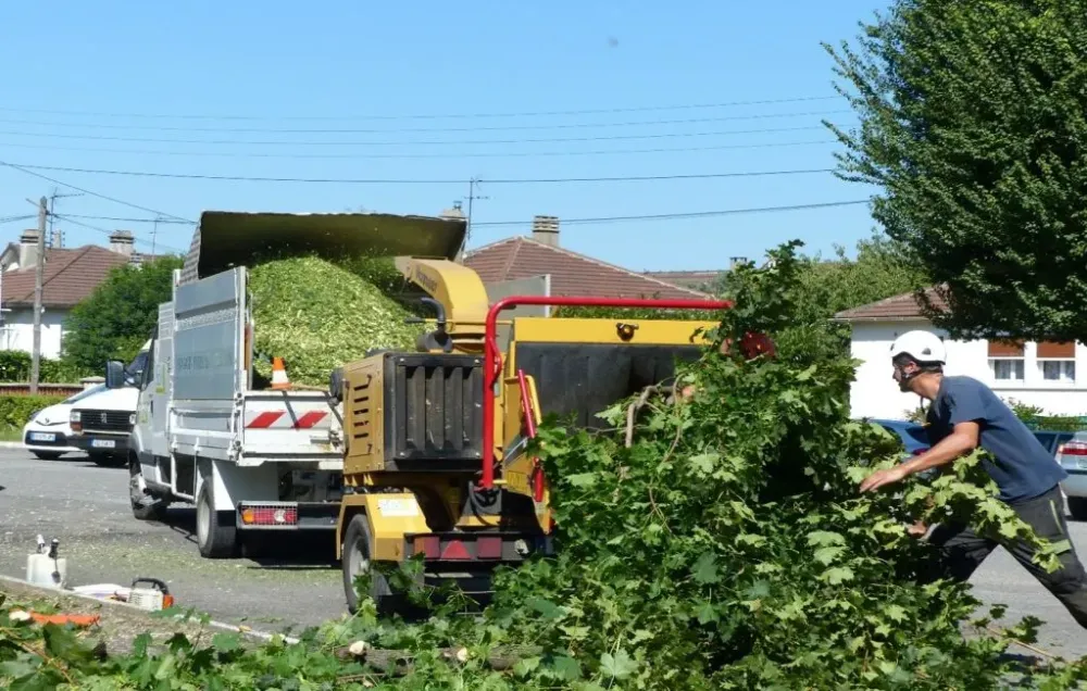 Taillage près de Chéroy